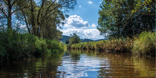 Mal e is a river in Austria and in the Czech Republic, and a right tributary of the Vltava 