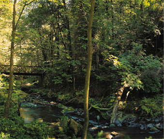 Fotografoval: Libor Svacek, Kaplicka 447, Cesky Krumlov, 381 01 CZ