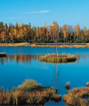 Fotografoval: Libor Svacek, Kaplicka 447, Cesky Krumlov, 381 01 CZ